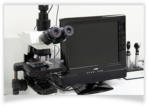 おおにし動物クリニック（東大阪市・大東市の動物病院）の「モニター付き電子顕微鏡」紹介